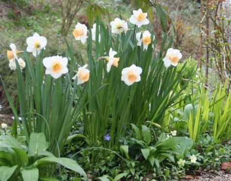 IMG_3211 - Version 2