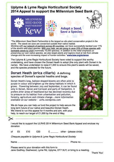 MSB_appeal_final_PDF copy