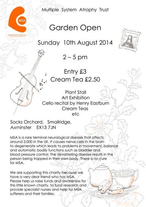 MSA poster A4 Aug14 #07 FLAT DW