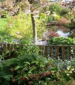 gardenpix-e1463593952501