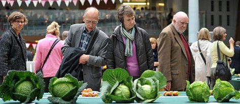 malvern-autumn-show556x241