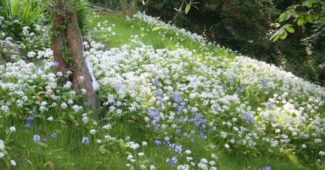 IMG_1530.JPG - Version 2