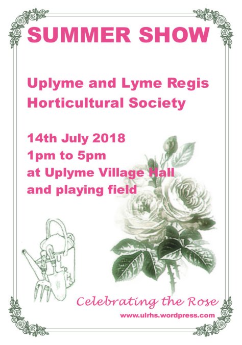 summer show poster 2017