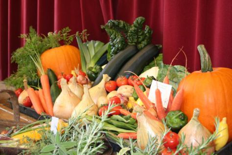 A previous Autumn Show exhibit